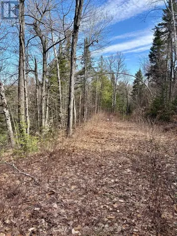 Lot 3 Foymount Road Bonnechere Valley ON K0J 1W0
