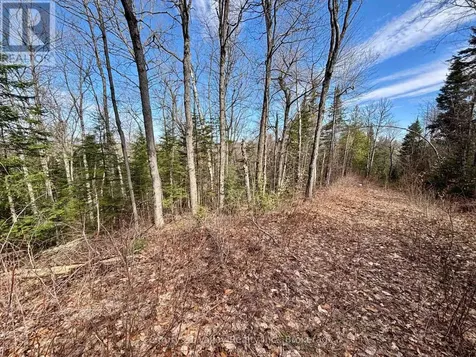 Lot 3 Foymount Road Bonnechere Valley ON K0J 1W0
