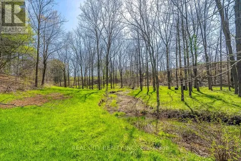 47 River Road Brantford ON N3R 0C1