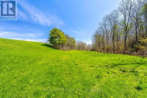 47 River Road Brantford ON N3R 0C1