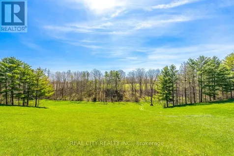 47 River Road Brantford ON N3R 0C1