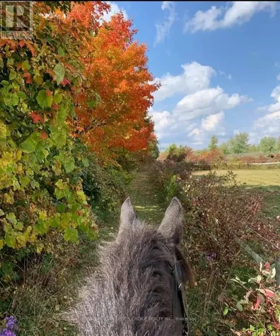 18743 St Andrews Road North Caledon ON L7K 2E3