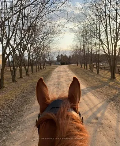 18743 St Andrews Road North Caledon ON L7K 2E3