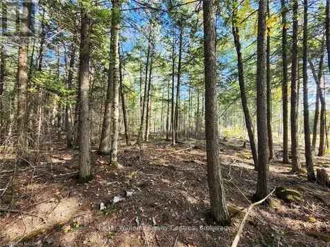 126 Quarry Road South Bruce Peninsula ON N0H 2T0
