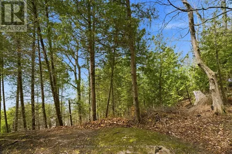 74515 Woodland Drive Bluewater (stanley) ON N0M 1G0