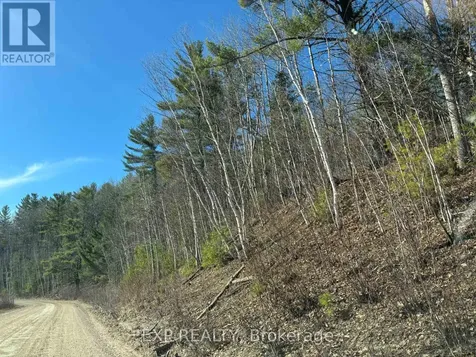 000 Opeongo Road Madawaska Valley ON K0J 2N0