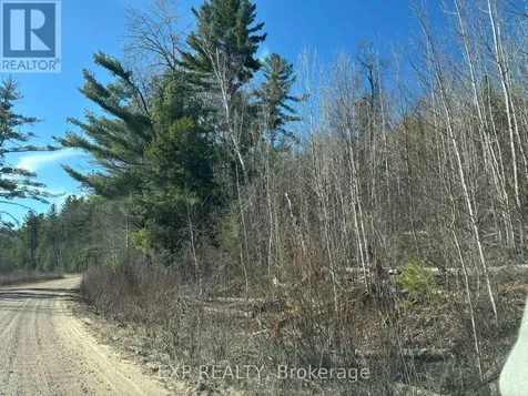 000 Opeongo Road Madawaska Valley ON K0J 2N0