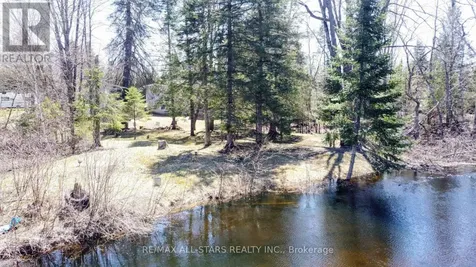 161 Mcfadden Road North Kawartha ON K0L 1A0