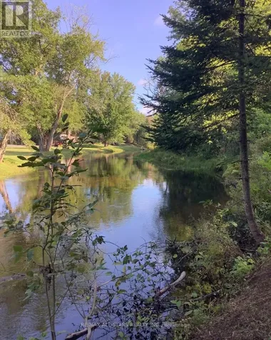 161 Mcfadden Road North Kawartha ON K0L 1A0