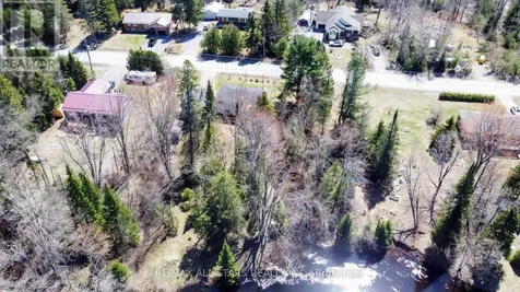 161 Mcfadden Road North Kawartha ON K0L 1A0