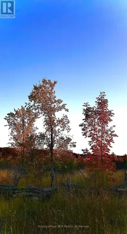 Ptlt 39 Con 25 N E Georgian Bluffs ON N0H 2T0