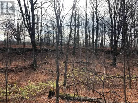Ptlt 39 Con 25 N E Georgian Bluffs ON N0H 2T0