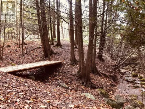 Ptlt 39 Con 25 N E Georgian Bluffs ON N0H 2T0