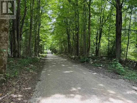 Lot 53/54 West Back Line Chatsworth ON N0C 1H0