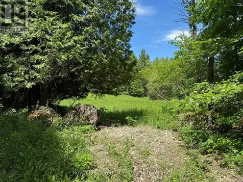 Lot 53/54 West Back Line Chatsworth ON N0C 1H0