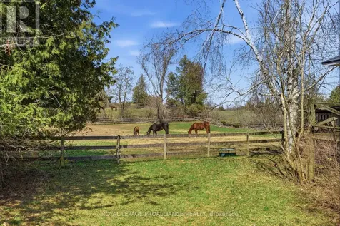 4046 Highway 28 Selwyn ON K0L 2H0