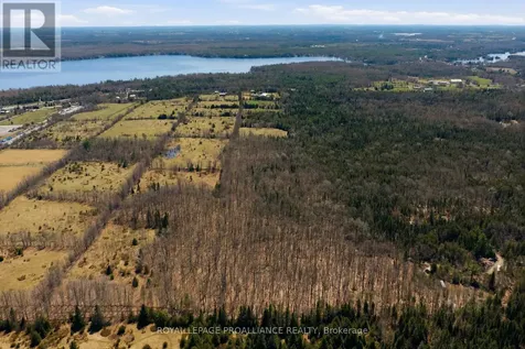 4046 Highway 28 Selwyn ON K0L 2H0