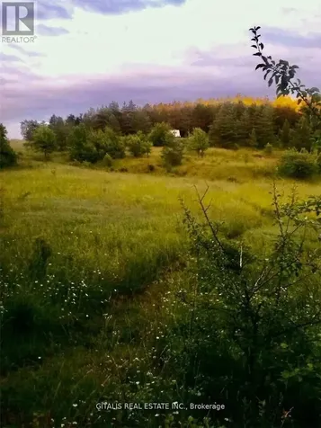 638212 St. Vincent-sydenham Townline Meaford ON N4K 5W4