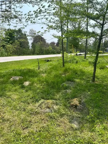 Macintosh Drive Georgian Bluffs ON N0H 1S0
