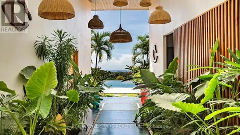 Santo Domingo Road Costa Rica ON