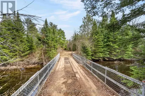 9559 Highway 28 North Kawartha ON K0L 1A0
