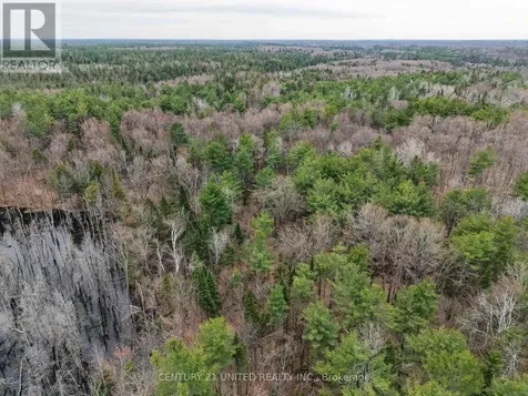 9559 Highway 28 North Kawartha ON K0L 1A0