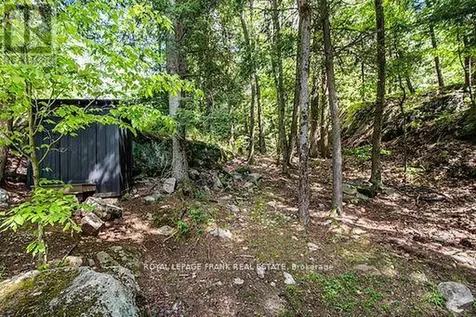119 Fire Route 242 Trent Lakes ON K0L 1J0