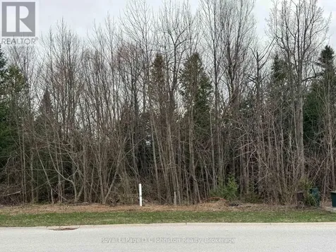 0 Emerald Drive Saugeen Shores ON N0H 2L0