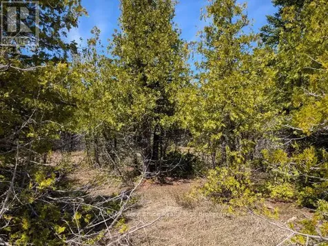 0 Sutter Road Northern Bruce Peninsula ON N0H 2T0
