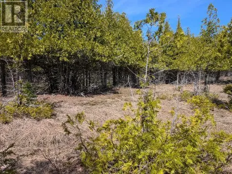 0 Sutter Road Northern Bruce Peninsula ON N0H 2T0