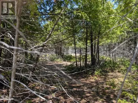 0 Sutter Road Northern Bruce Peninsula ON N0H 2T0