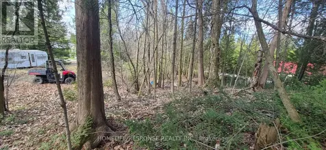 48 Waldweg Scugog ON L0B 1B0