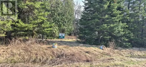 48 Waldweg Scugog ON L0B 1B0