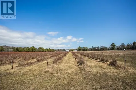 46 Collver Rd|huron Shores Township Thessalon ON P0R 1L0