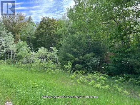 6411 Concession 4 Road Adjala-tosorontio ON L0M 1J0