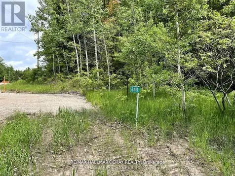 6411 Concession 4 Road Adjala-tosorontio ON L0M 1J0