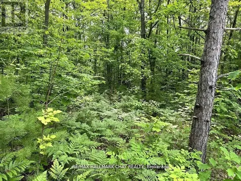 6411 Concession 4 Road Adjala-tosorontio ON L0M 1J0