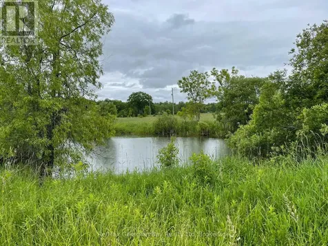 1744 Balkwill Line Severn ON L0K 1E0