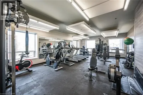 318 Spruce Street Waterloo ON N2L 3M7