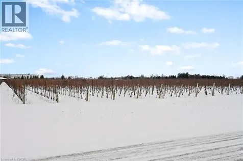 1074 Niagara Stone Road Niagara-on-the-lake ON L0S 1J0