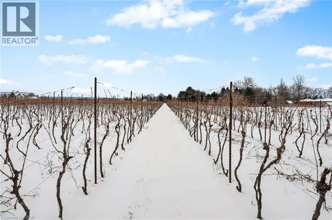 1074 Niagara Stone Road Niagara-on-the-lake ON L0S 1J0