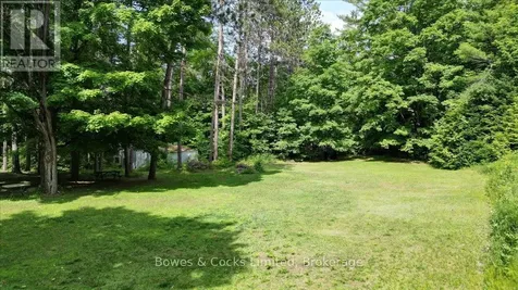 49 Mcfadden Road North Kawartha ON K0L 1A0
