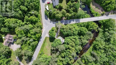 49 Mcfadden Road North Kawartha ON K0L 1A0