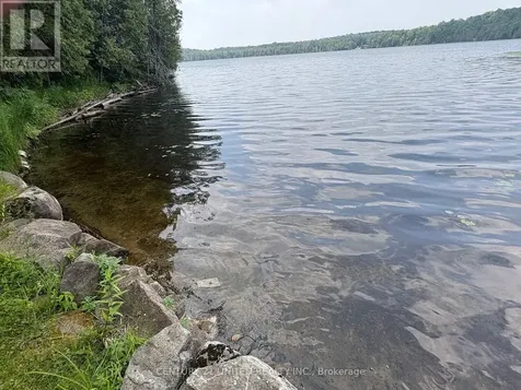 16 Fire Route 311 Trent Lakes ON K0L 1J0