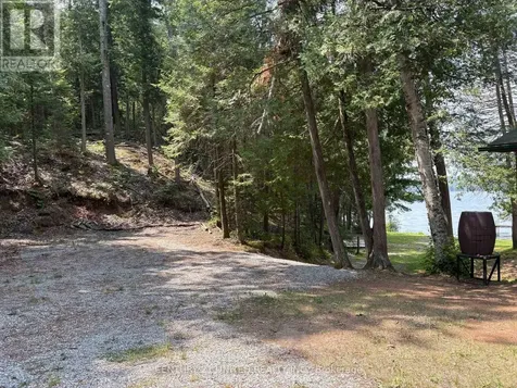 16 Fire Route 311 Trent Lakes ON K0L 1J0