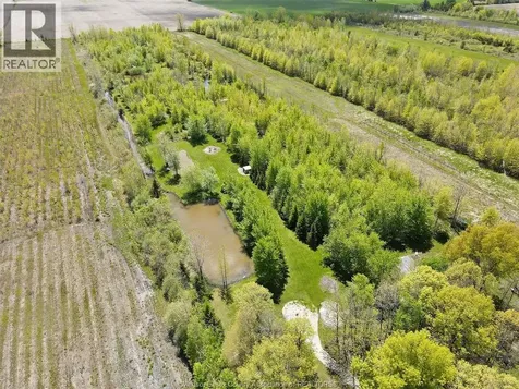 9907 Concession 9 Road Essex ON N8M 2X5