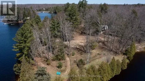 45 Fire Route 223 Trent Lakes ON K0L 1J0