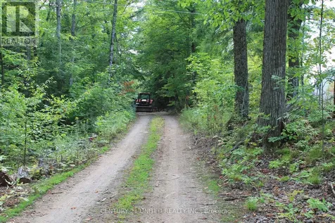45 Fire Route 223 Trent Lakes ON K0L 1J0