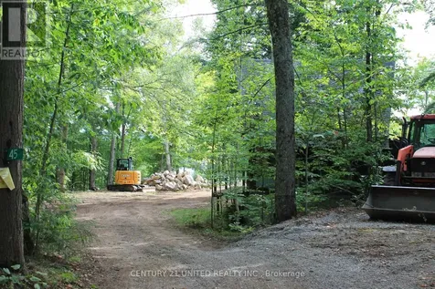 45 Fire Route 223 Trent Lakes ON K0L 1J0