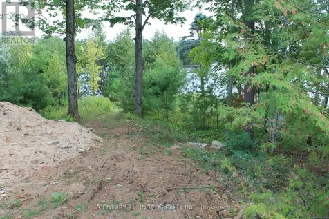 45 Fire Route 223 Trent Lakes ON K0L 1J0
